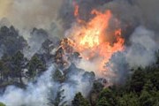 Лесные пожары охватили Тенерифе и Гран-Канарию. // Reuters
