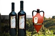 Вино - самый популярный болгарский сувенир. // cellarpamidovo.com