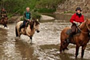 Карелия: конные туры на любой вкус // adrenalinetour.ru