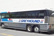 На автобусе Greyhound - по всему миру. // used-buses.net