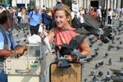 В Венеции запретят кормить голубей. // Lenta.ru/the-gadgeteer.com