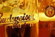 Чешский Budweiser пользуется популярностью во всем мире. // beernewsletter.com