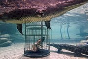 В бассейне с крокодилами можно провести десять минут. // Diariodelviajero.com