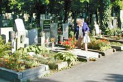 На Ольшанском кладбище создан экскурсионный маршрут. // radio.cz