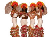 Франция ждет туристов на фестиваль карибской культуры. // cesam-international.com