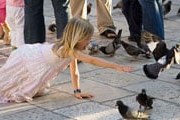 В Нью-Йорке запретят кормить голубей. // digitalapoptosis.com
