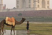 Смог душит Индию. // GettyImages