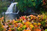 Самые красивые водопады мира - на сайте World Waterfall. // GettyImages