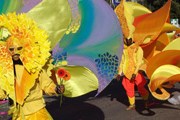 В программе карнавала - праздничные шествия и цветочные бои. // nicecarnaval.com
