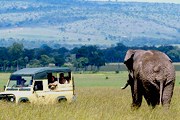 Туризм - важная отрасль экономики Кении. // GettyImages