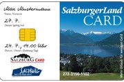 Бесплатные экскурсии - с помощью Salzburgerland Card.// forsthofgut.at