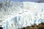 Ледник Франца-Иосифа находится в новозеландских Южных Альпах. // fauna.iatp.by