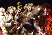 В Венгрии было дано более 1300 представлений "Кошек". // hungary-ru.com