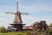 Ветряная мельница – символ Голландии. // weltreport.de 