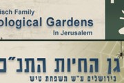 Иерусалимский зоопарк библейских животных за год посетило 693&nbsp;115 туристов. // jerusalemzoo.org.il