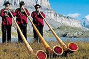 Альпийский рог - длинная деревянная труба с изогнутым концом. // MySwiss.ru
