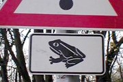 "Осторожно, могут прыгнуть лягушки" - один из знаков на дорогах Германии. // bp0.blogger.com