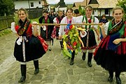 Венгрия приглашает на праздник сбора винограда. // podroze.onet.pl