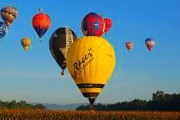 Фестиваль воздушных шаров - захватывающее зрелище. // balloon2008.com