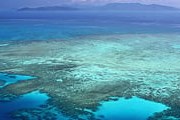 Большой барьерный риф - гордость Австралии. // GettyImages
