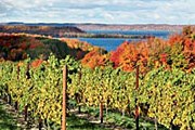 Виноградник Chateau Grand Traverse на берегу озера Мичиган // cnn.com