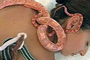 Змеи расслабляют клиентов. // newsru.co.il
