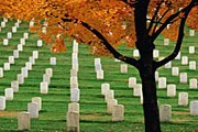 Знаменитое Арлингтонское кладбище // GettyImages