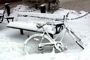 В Цюрихе впервые за много лет выпало 20 сантиметров снега. // Ольга Агапова