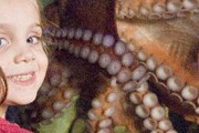 Гигантского осьминога можно увидеть в Гданьске. // bluereefaquarium.co.uk