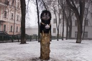 Киевский памятник "ежику в тумане" // community.livejournal.com/interesniy_kiev