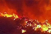 В Австралии бушуют лесные пожары. // НТВ 