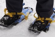 Специальной подготовки для прогулки на снегоступах не требуется, нужно только снаряжение. // naturalsciences.org