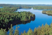 Регион Южное Саво богат озерами и лесами. // esavo.fi