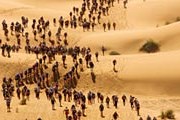 Участники марафона в песках // darbaroud.com