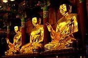 Отдых в буддистских монастырях Кореи все популярнее. // www.zibili.com