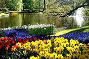 Ежегодно парк цветов посещают 800 тысяч туристов. // weltreport.de