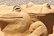 На создание скульптур ушло более 2,7 тысячи тонн песка. // itar-tass.com