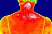 Инфракрасные сканеры контролируют температуру тела туристов. // mobiledevice.ru