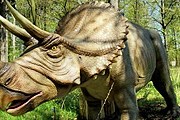 В лесу можно встретить "живых" динозавров. // ttg.com.pl