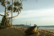 На пляжах Шри-Ланки зазвучит музыка. // А.Баринова