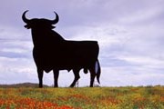 Скульптура быка в Андалусии // Getty Images / Gavin Hellier
