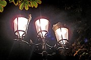 Каждый вечер фонарщик зажигает фонари. // Travel.ru