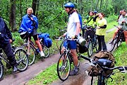 В Беловежской пуще туристам предложат велосипедные экскурсии. // bp21.org.by