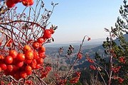 Вид с горы Синюха // В.Киричук