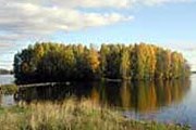 Шекснинское водохранилище // vologda-oblast.ru