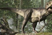 Другие музеи Греции обычно рассказывают только о динозаврах. // attractions.co.uk