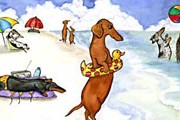 Пляж для собак открылся в Риме. // wiener-dog.com