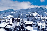 10% от числа посещавших Альпы туристов выбрали Швейцарию. // myswitzerland.ru