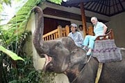Гости Elephant Safari Park Lodge передвигаются по территории на слонах. // tripadvisor.com