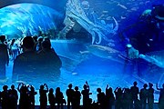 Туристов приглашают посетить новый аквариум. // blogcu.com